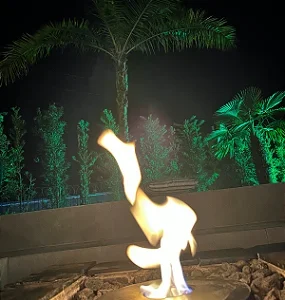 Queimador Inox Redondo 24cm Lareiras ecosul - Imagem 3